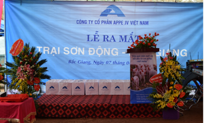 AGROUP Việt Nam chính thức ra mắt trại heo giống tiêu chuẩn quốc tế tại Sơn Động, Bắc Giang