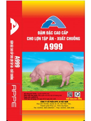A999 Đậm đặc cao cấp 